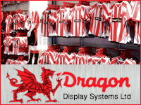 Dragon Display Systems Ltd small advert